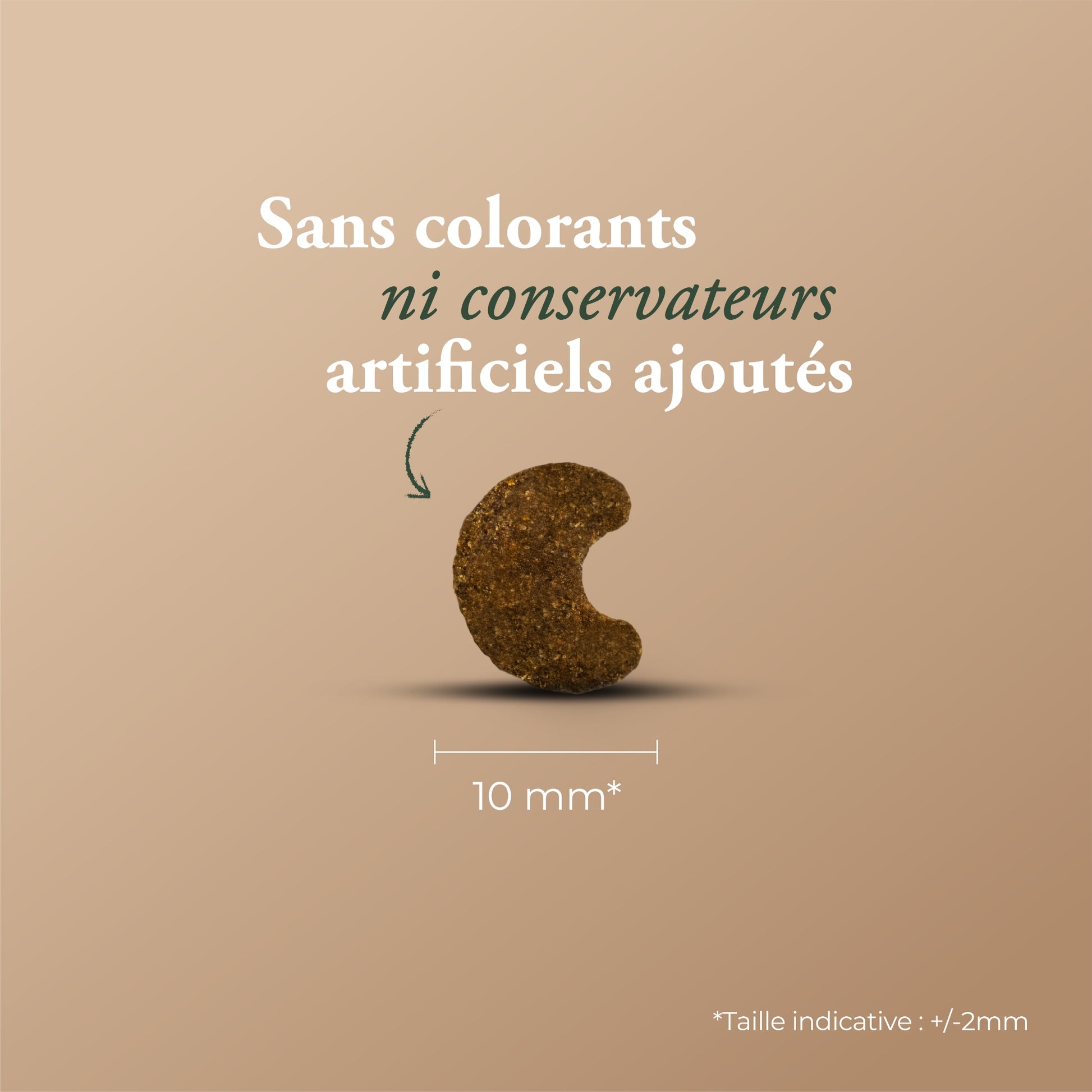 ESSENTIAL INDOOR STERILISED