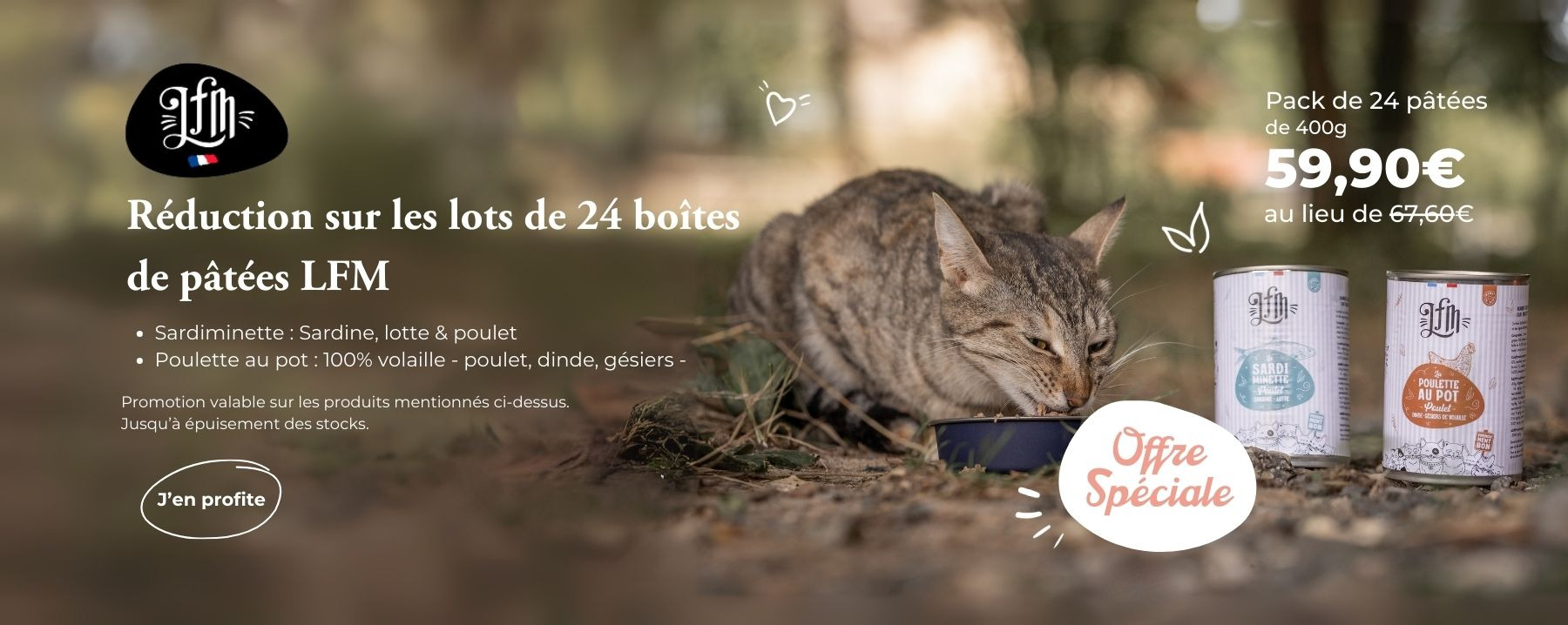 OFFRE PATEE LFM CHAT