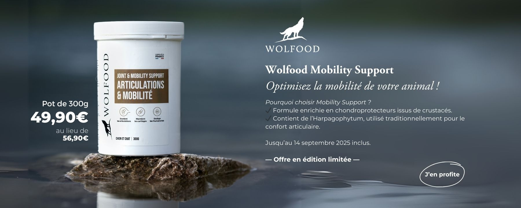 WOLFOOD MOBILITY SUPPORT
