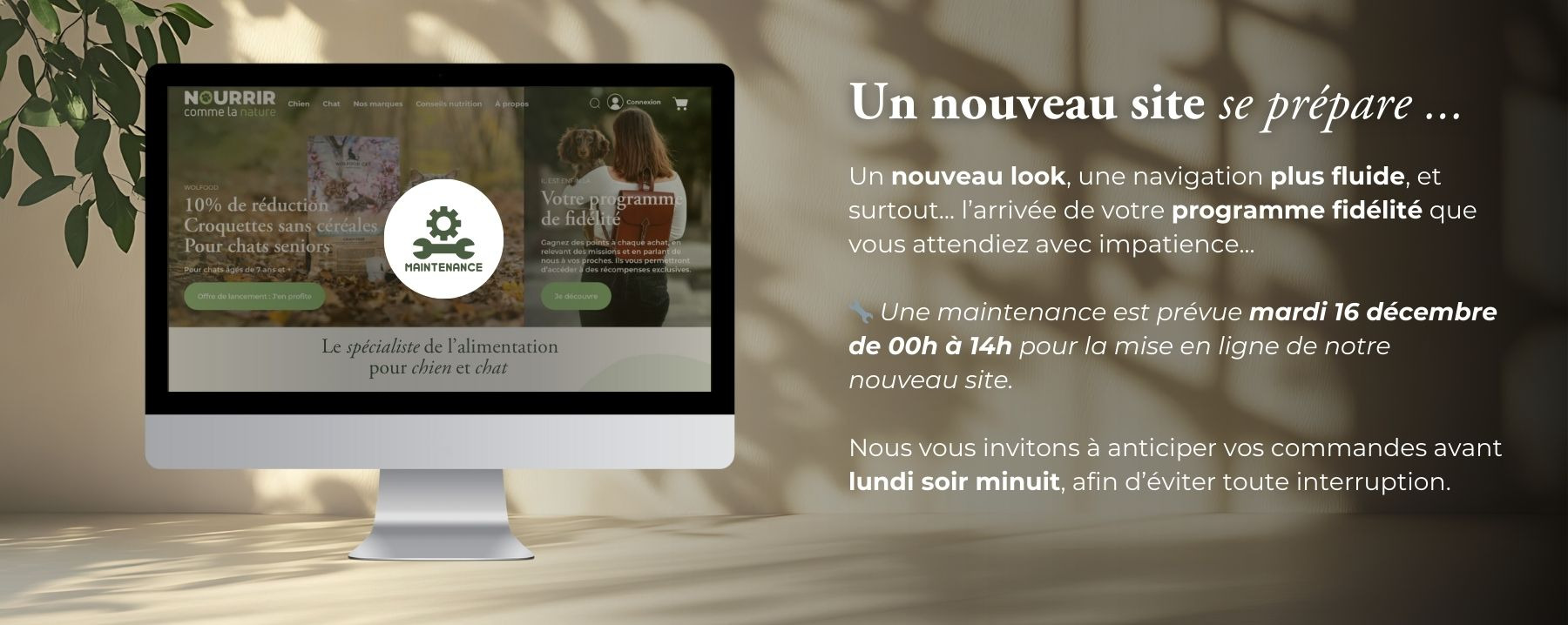 NOUVEAU SITE