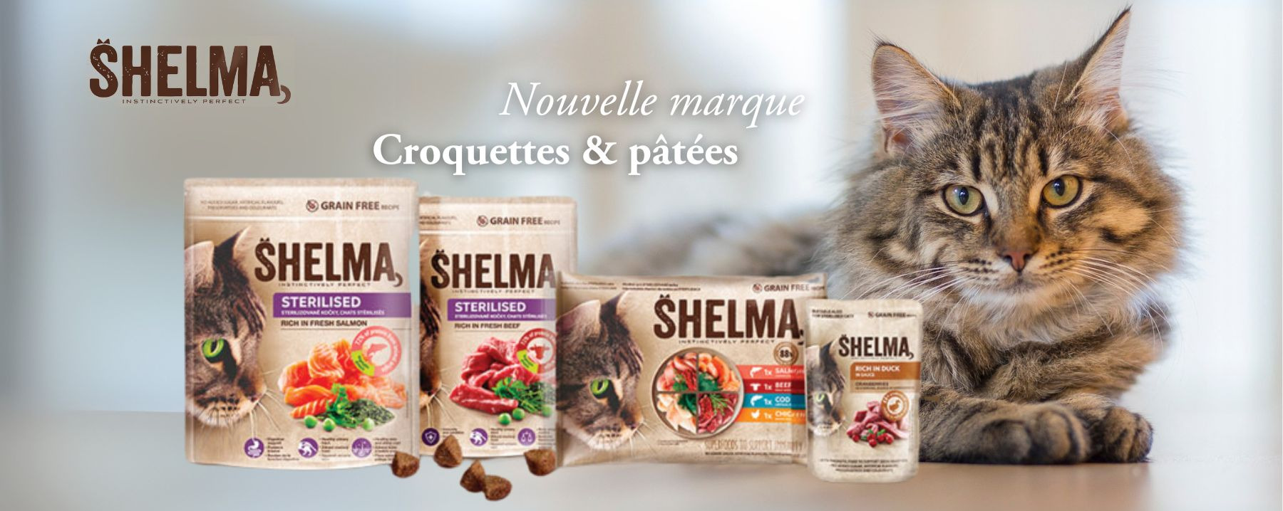 Nouveauté Shelma