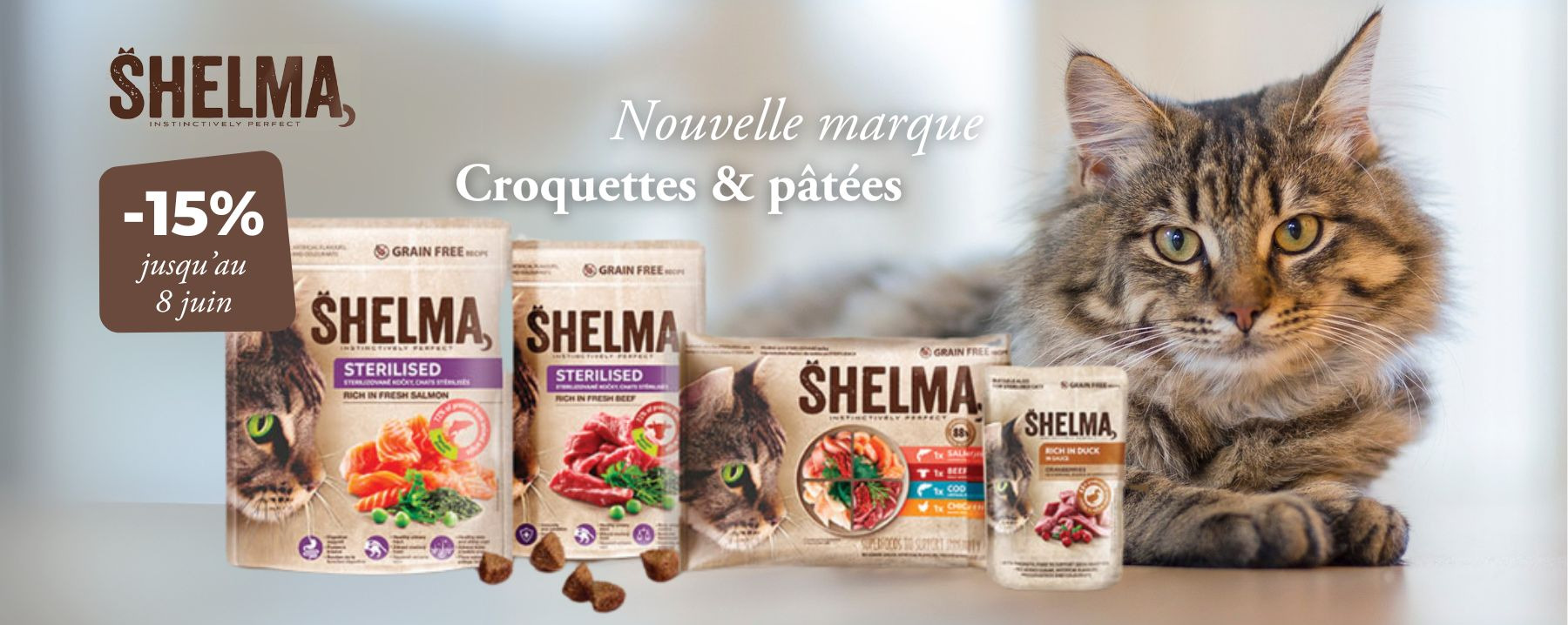 SHELMA PROMO 15%