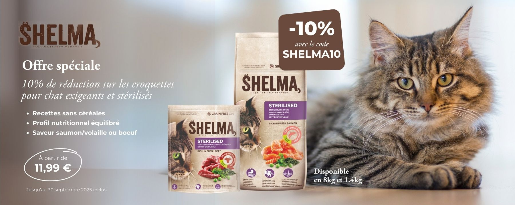 SHELMA PROMO 10%