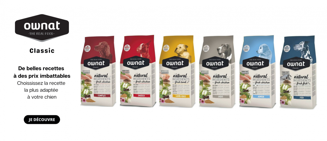 Animalerie En Ligne Nourriture Pour Chien Et Pour Chat Nourrir Comme La Nature