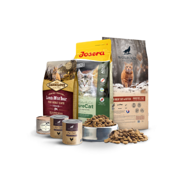 Voir les produits pour Chat