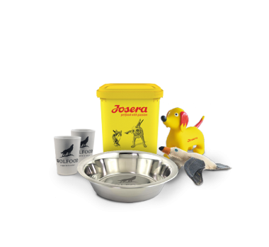 Voir les produits pour Chien