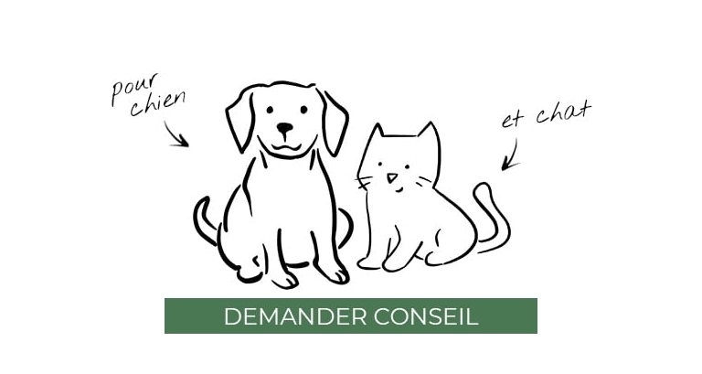 conseil-nutrition-chien-et-chat.jpg
