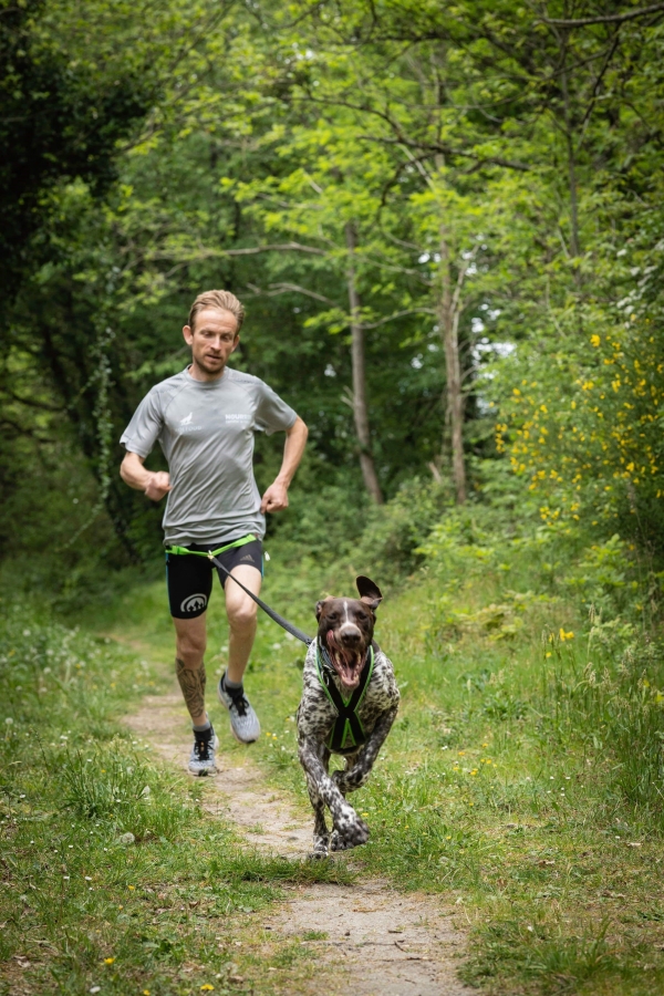 Canicross : comment faire du sport avec son chien ?, Animalerie