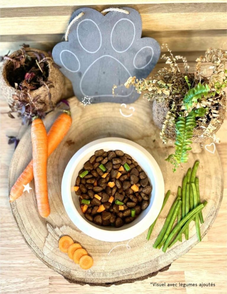 bistrococotte-790x1024.jpg