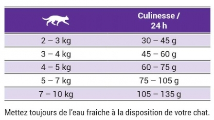 chatcroquettesjoseraculinesse.jpeg