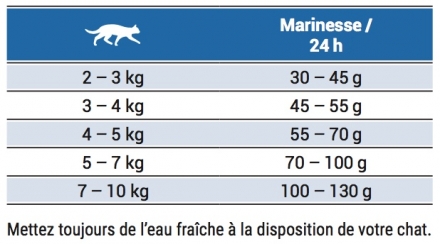 quantitecroquetteschatjoseramarinesse.jpeg