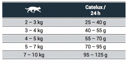 rationcroquettesjoseracateluxchat.jpeg