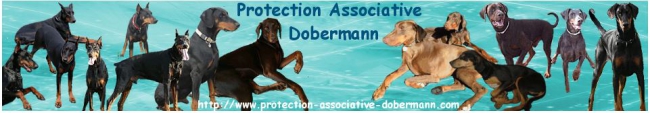 ASSOCIATION PROTECTION DOBERMANN