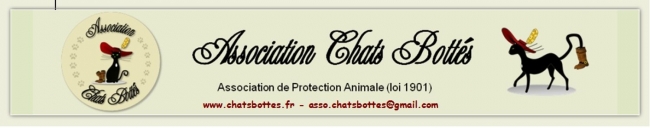 ASSOCIATION CHATS BOTTES protection féline