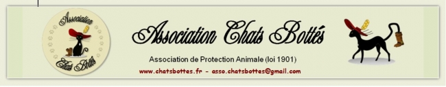 ASSOCIATION CHATS BOTTES   protection féline