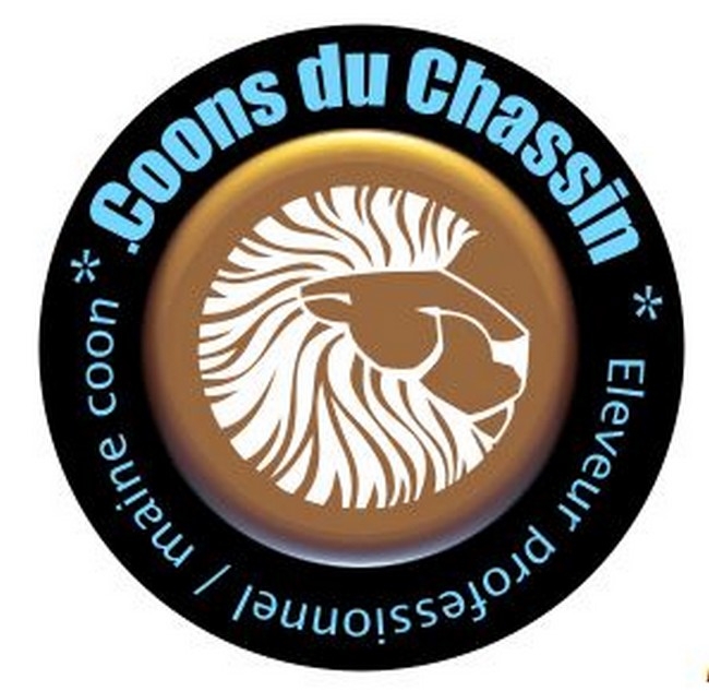 MAIN COONS ELEVAGE DU CHASSIN