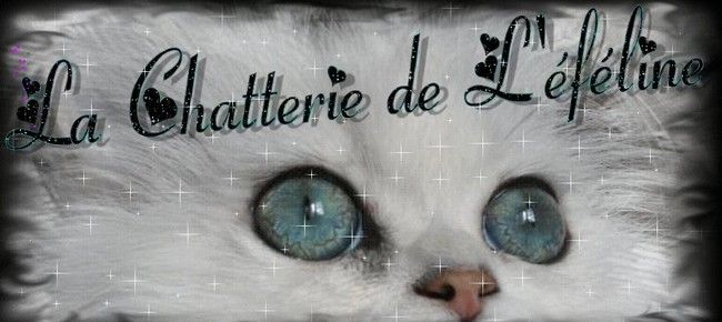 CHATTERIE DE L' EFELINE