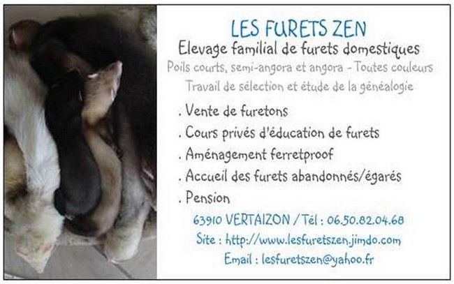 LES FURETS ZEN