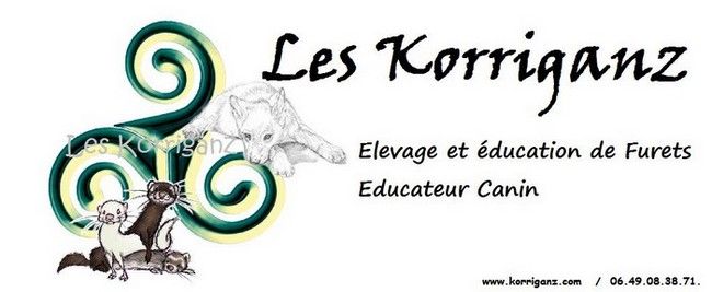 LES KORRIGANZ
