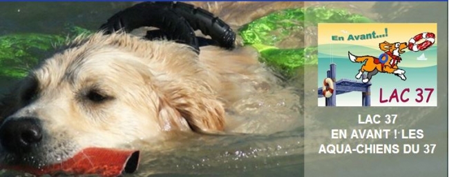 ASSOCIATION LAC 37 chiens de sauvetage aquatique