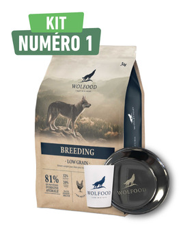 Kit chiot Wolfood 