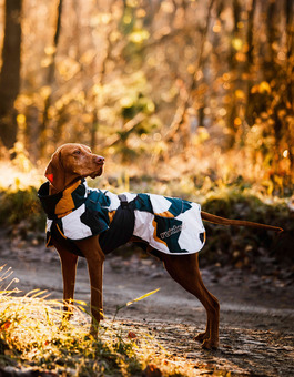MANTEAU STORMY COAT (DOG)