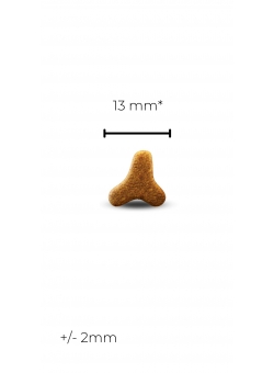 HELP URINARY CAT