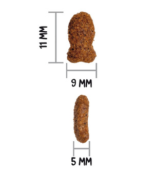 PRIME GRAIN FREE STERILIZED FISH - pour chat