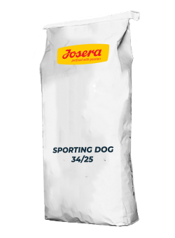 SPORTING DOG