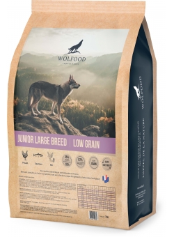 JUNIOR LARGE BREED