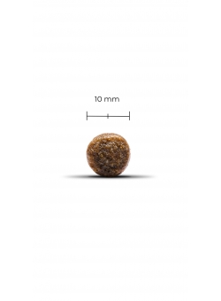 Wolfood puppy low grain - ALLO'CROQUETTES GARD