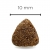 croquetteessentialpoursite-2.jpg