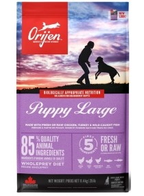 Image produit PUPPY LARGE BREED 