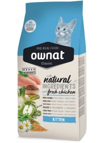 Image produit CLASSIC KITTEN