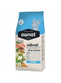 Image produit CLASSIC KITTEN