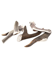 Image produit BOIS DE CERF