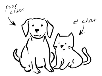 Alimentation pour chien et chat